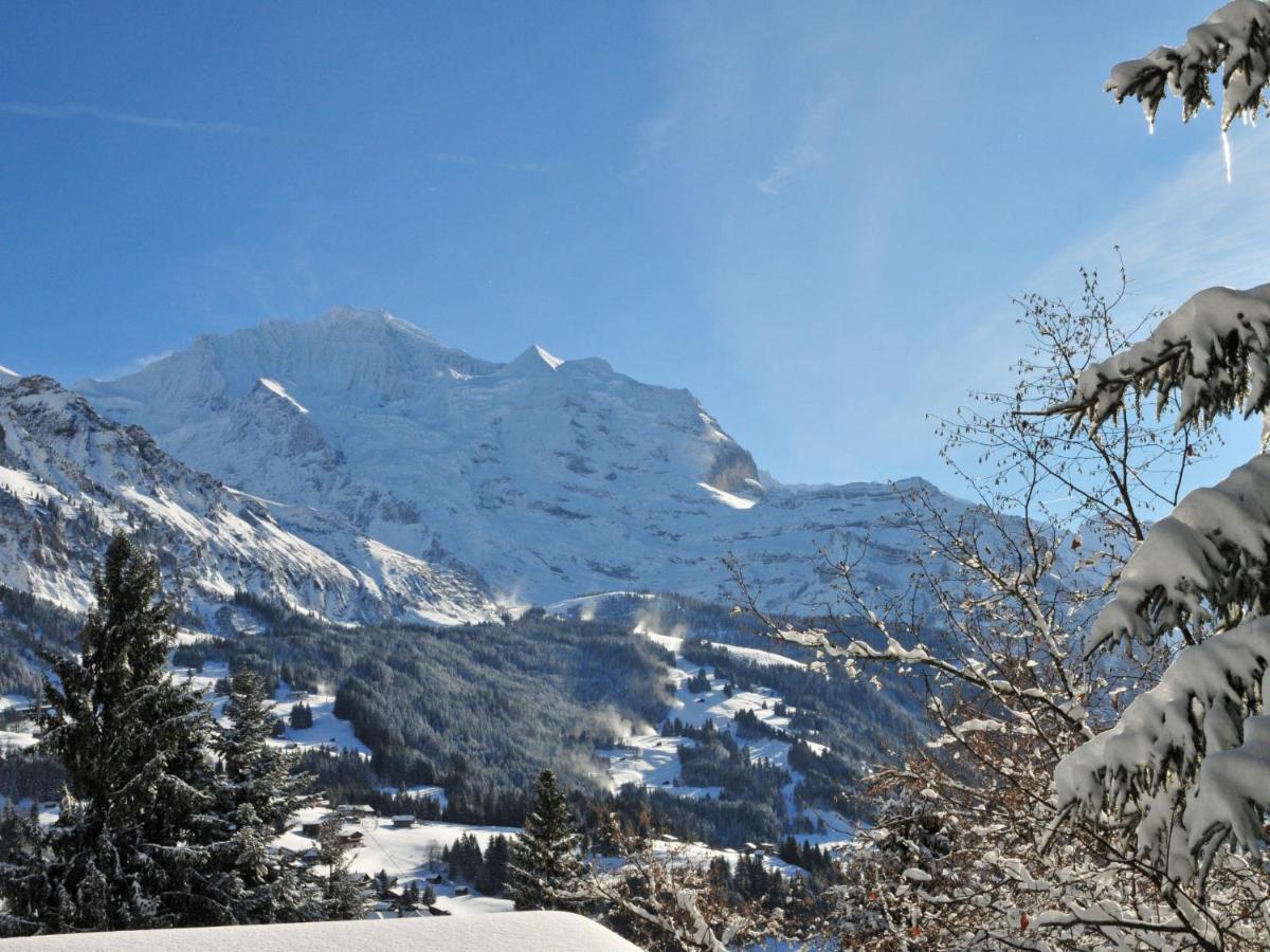 Apartment Panorama By Interhome Wengen Eksteriør bilde